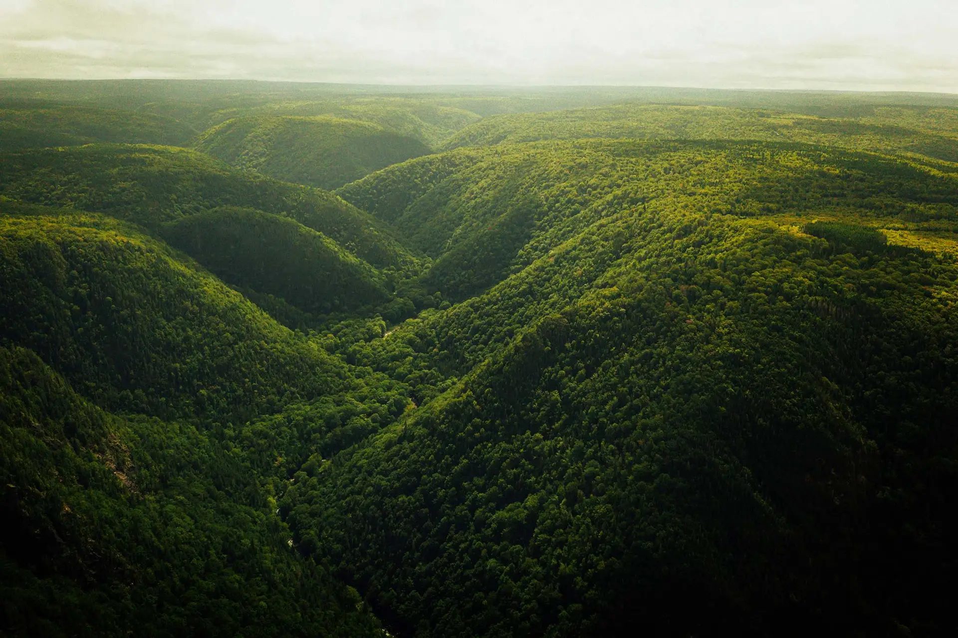 Forested valley, used to illustrate the beauty of Cape Breton. Nova Scotia