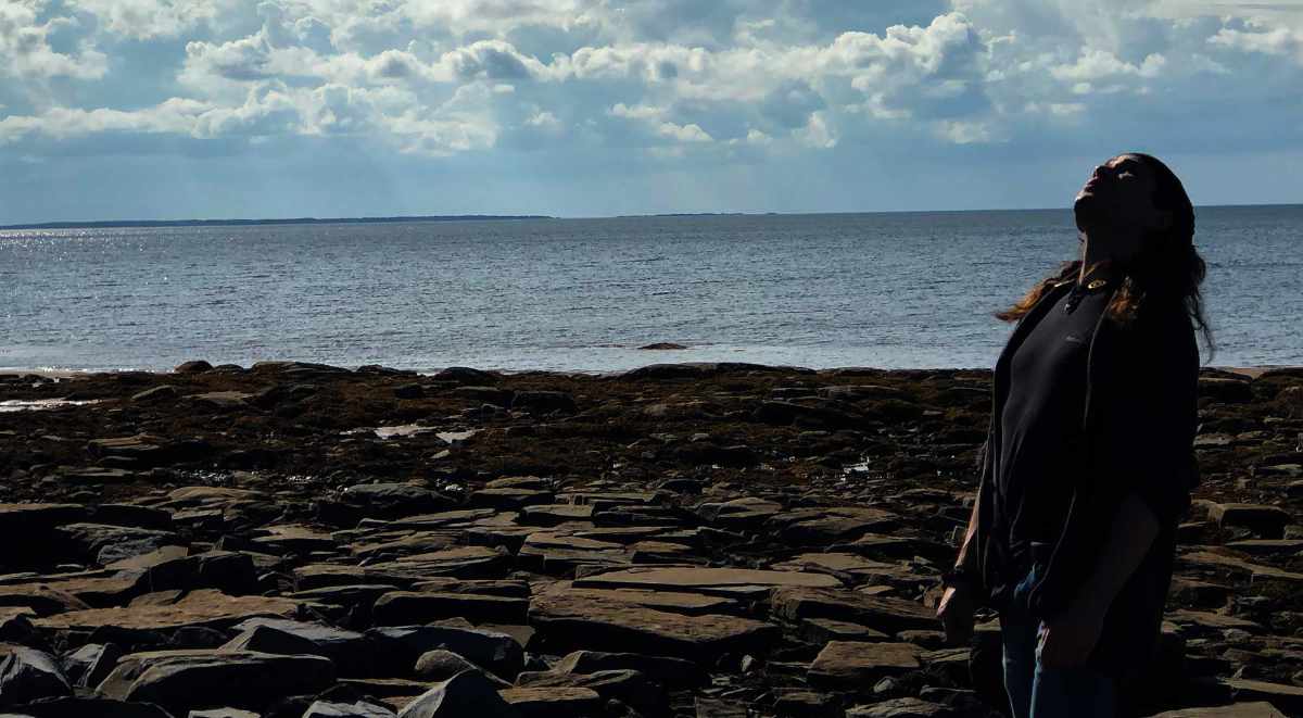 Ross O'Ciarmhaic From a Rocky Nova Scotian Shore